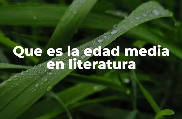 Que es la Edad Media en Literatura