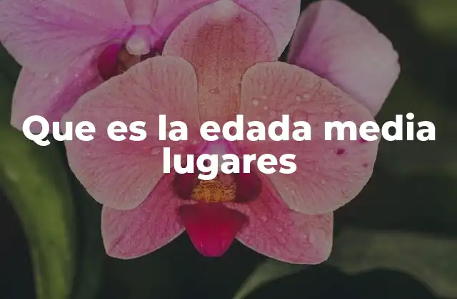 Que es la Edada Media Lugares