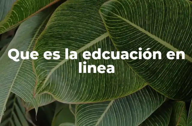 Que es la Edcuación en Linea