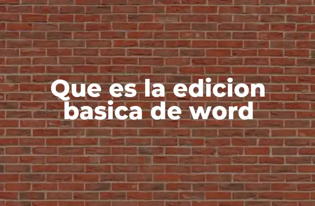 Que es la Edicion Basica de Word