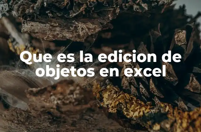 Que es la Edicion de Objetos en Excel