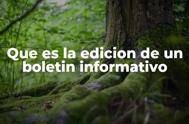 El proceso detrás de la creación de un boletín informativo