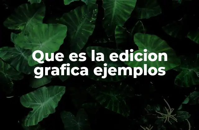 Que es la Edicion Grafica Ejemplos
