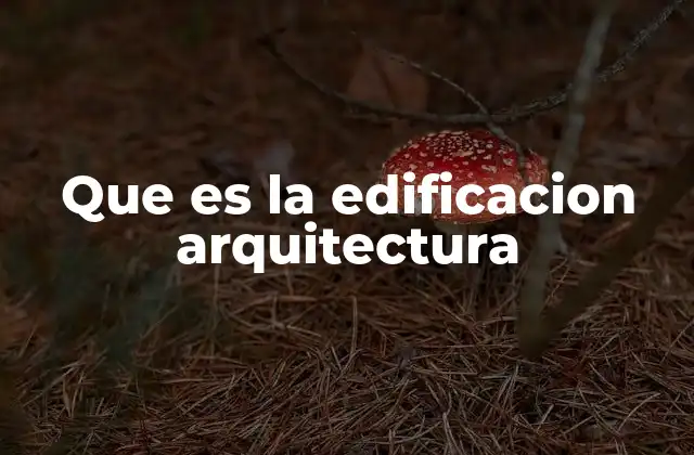 Que es la Edificacion Arquitectura