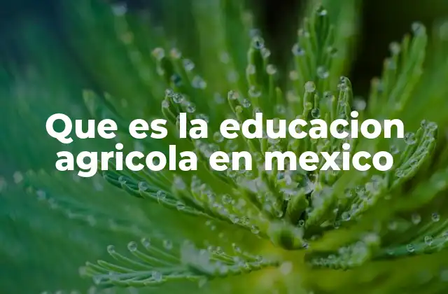 Que es la Educacion Agricola en Mexico