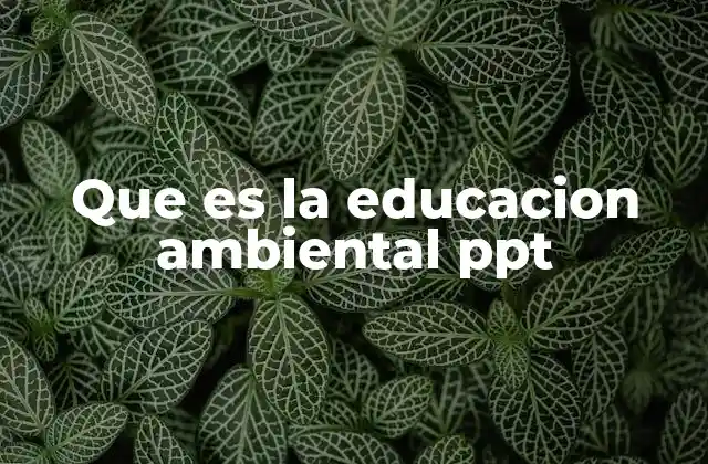 Que es la Educacion Ambiental Ppt