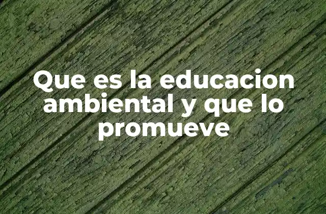 Que es la Educacion Ambiental y que Lo Promueve