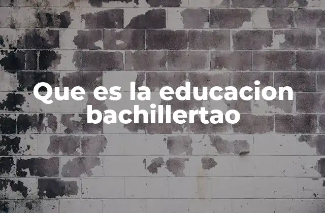 Que es la Educacion Bachillertao