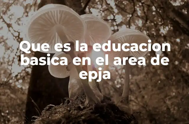 Que es la Educacion Basica en el Area de Epja