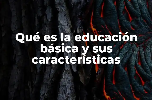 Qué es la Educación Básica y Sus Características