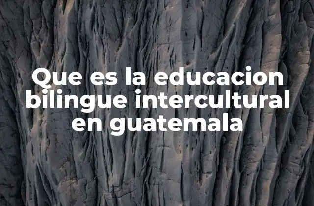Que es la Educacion Bilingue Intercultural en Guatemala