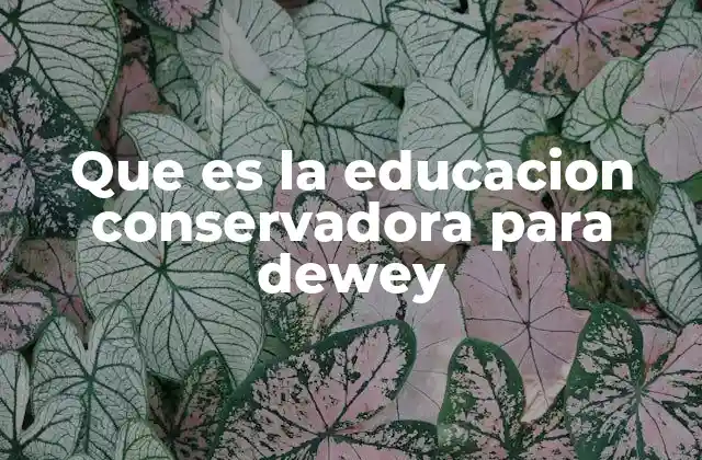La educación como transmisión de valores según Dewey