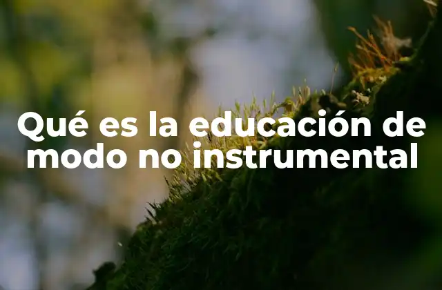 Qué es la Educación de Modo No Instrumental