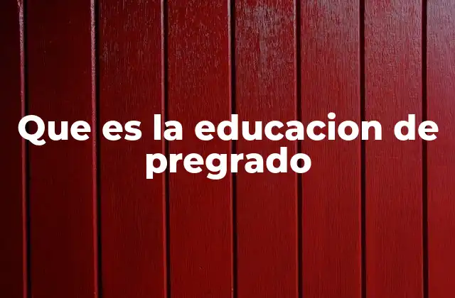 Que es la Educacion de Pregrado