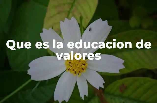 Que es la Educacion de Valores