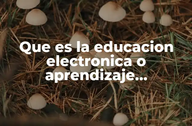 Que es la Educacion Electronica o Aprendizaje Electronico