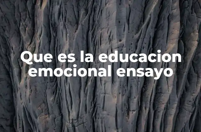 Que es la Educacion Emocional Ensayo