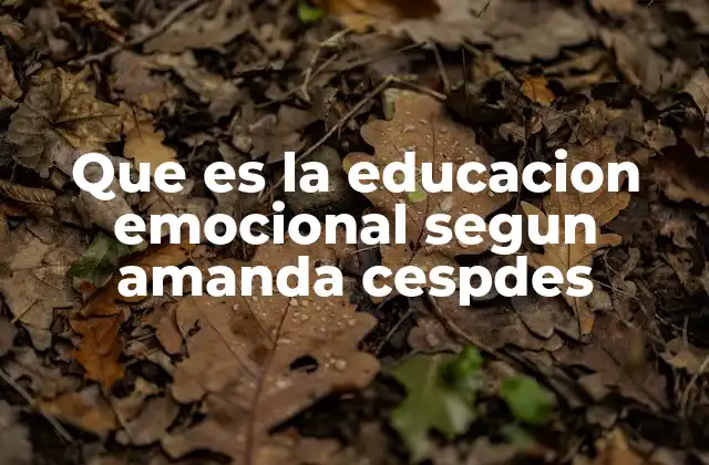 Que es la Educacion Emocional Segun Amanda Cespdes