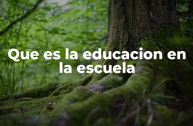 Que es la Educacion en la Escuela