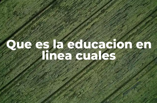Que es la Educacion en Linea Cuales