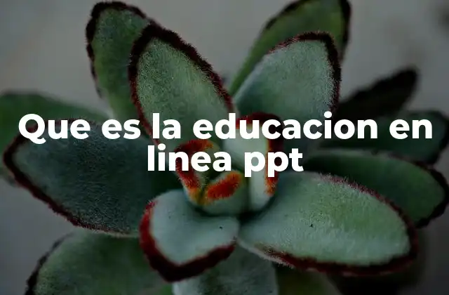 Que es la Educacion en Linea Ppt 2 La importancia de las presentaciones visuales en la educación virtual