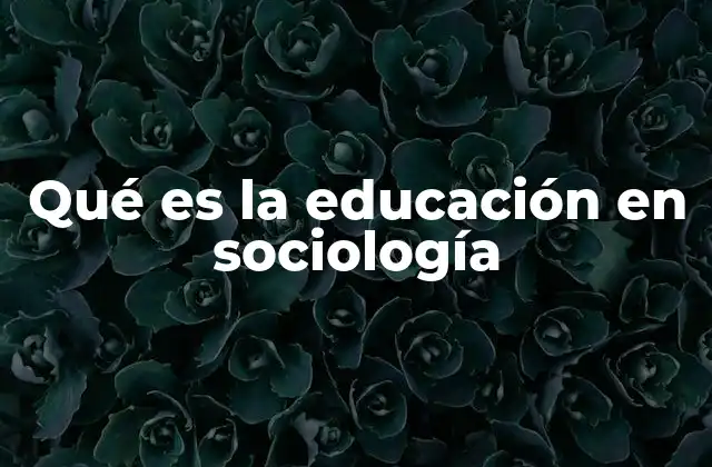 Qué es la Educación en Sociología