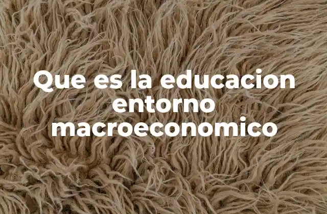 Que es la Educacion Entorno Macroeconomico