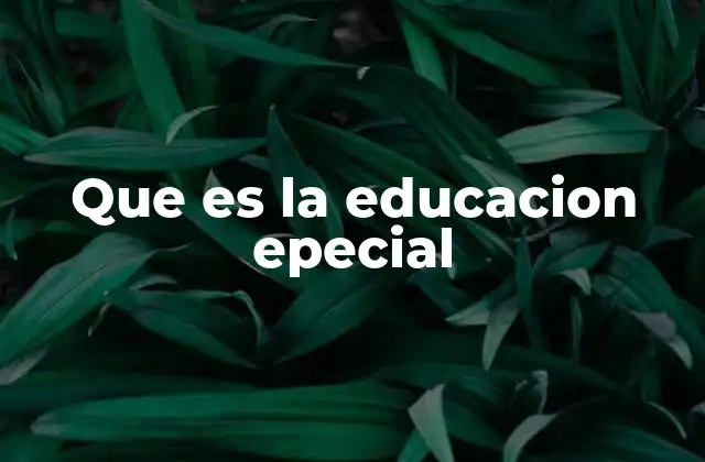 Que es la Educacion Epecial