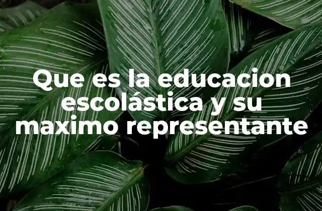 Que es la Educacion Escolástica y Su Maximo Representante