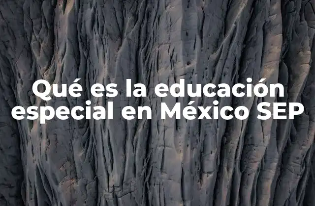 Qué es la Educación Especial en México Sep