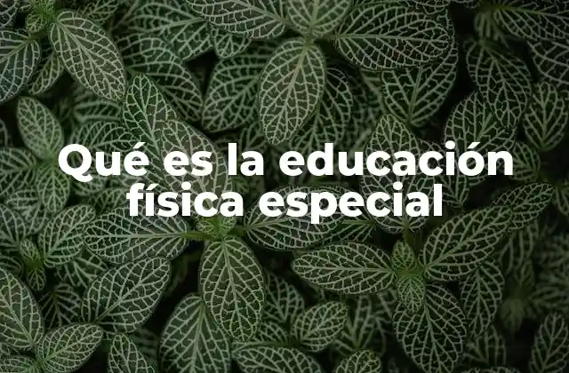 Qué es la Educación Física Especial
