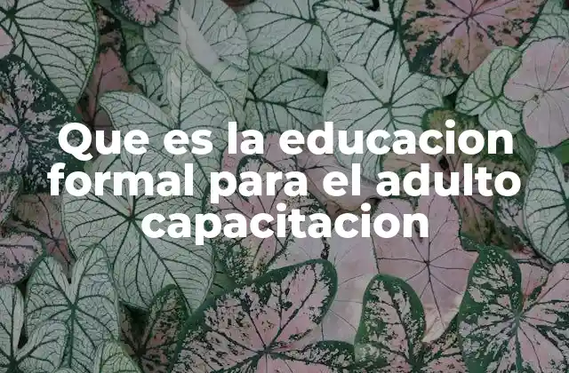 Que es la Educacion Formal para el Adulto Capacitacion