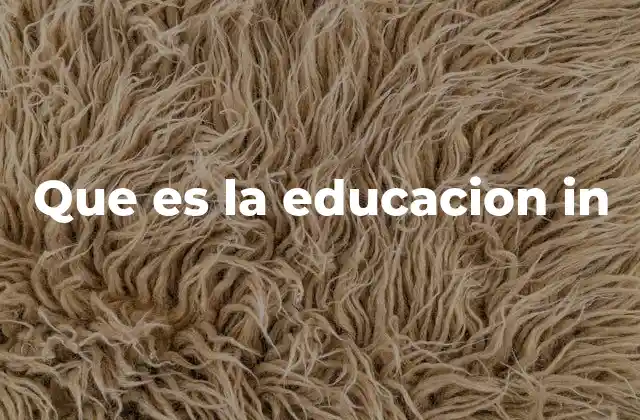 Que es la Educacion In