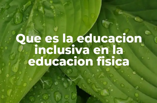 Que es la Educacion Inclusiva en la Educacion Fisica