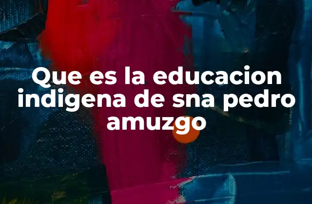 Que es la Educacion Indigena de Sna Pedro Amuzgo