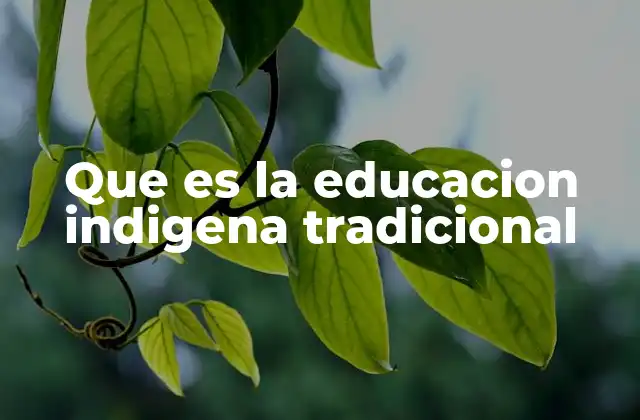 Las raíces culturales de la educación indígena