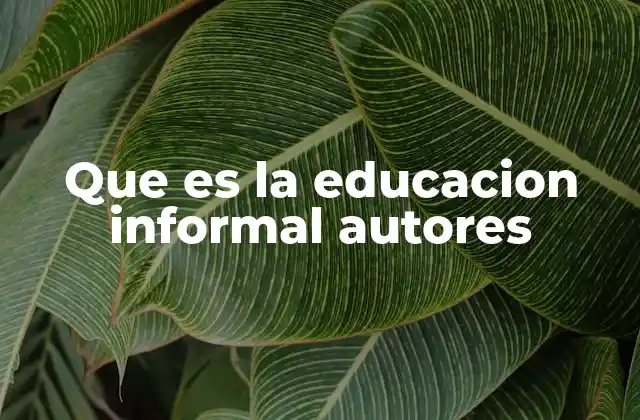 La importancia de los autores en la conceptualización de la educación informal