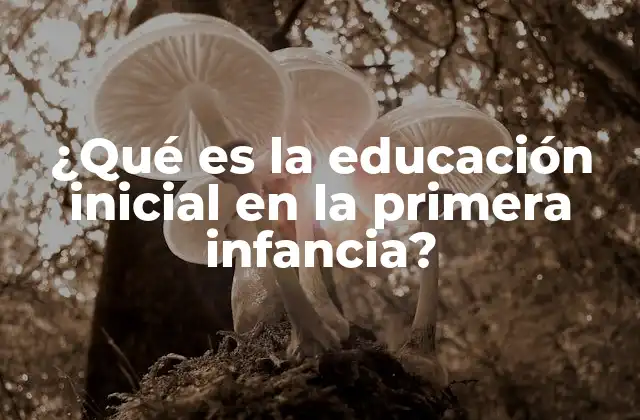 ¿qué es la Educación Inicial en la Primera Infancia?