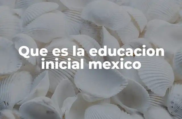 Que es la Educacion Inicial Mexico