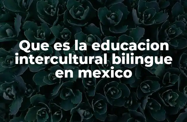 La importancia de la educación intercultural bilingüe en comunidades rurales