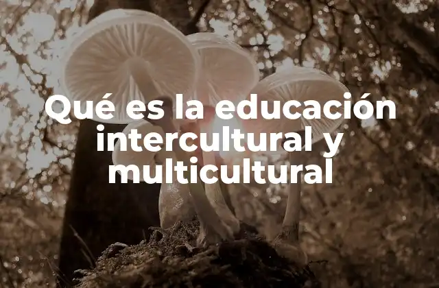 Qué es la Educación Intercultural y Multicultural