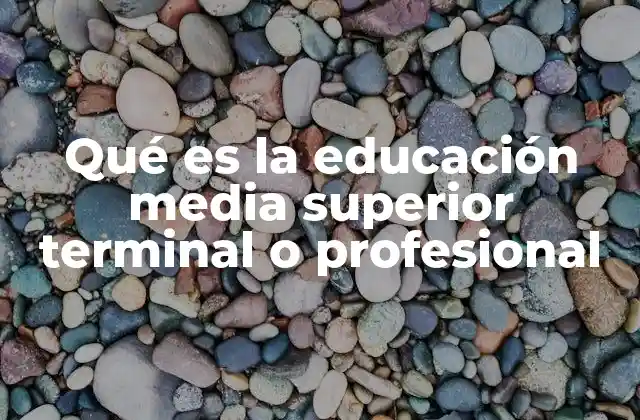 Qué es la Educación Media Superior Terminal o Profesional
