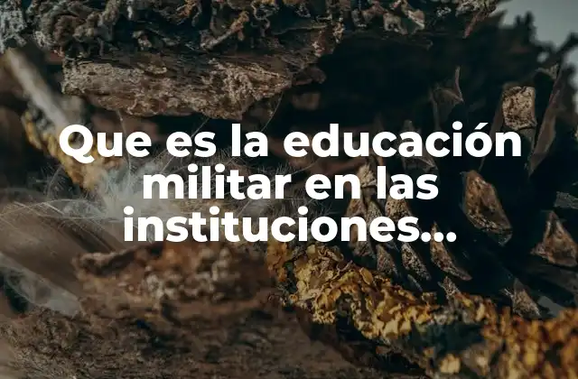Que es la Educación Militar en las Instituciones Educativas