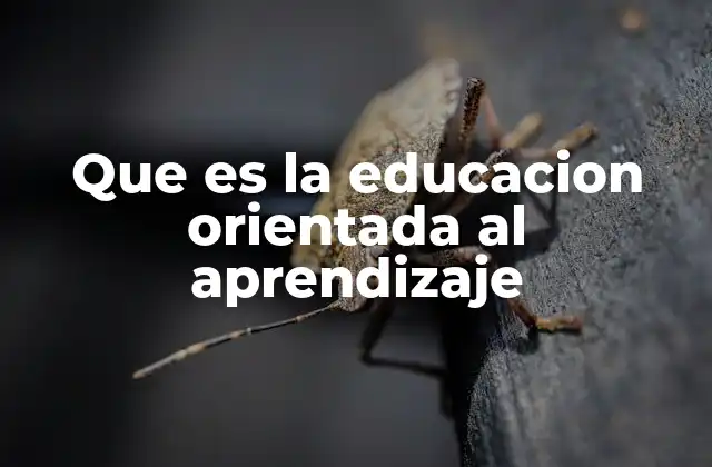 Que es la Educacion Orientada Al Aprendizaje