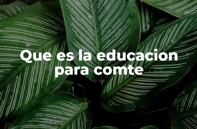 Que es la Educacion para Comte 2 La educación como base del desarrollo social