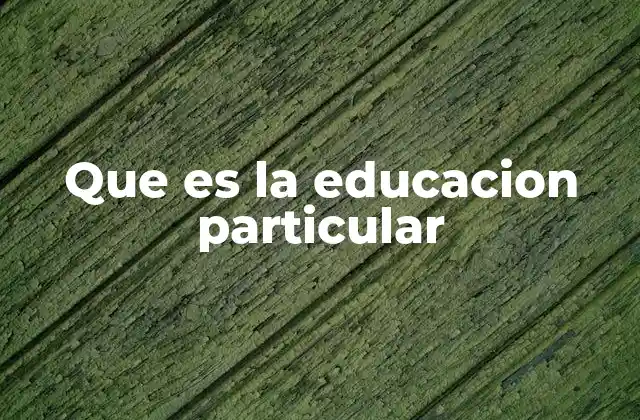 Que es la Educacion Particular