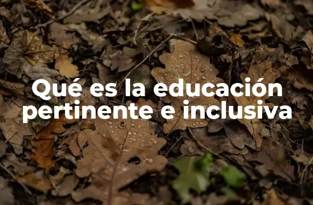 Qué es la Educación Pertinente e Inclusiva