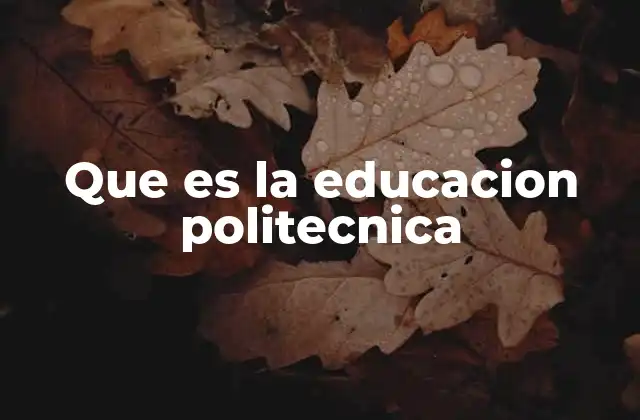 Que es la Educacion Politecnica
