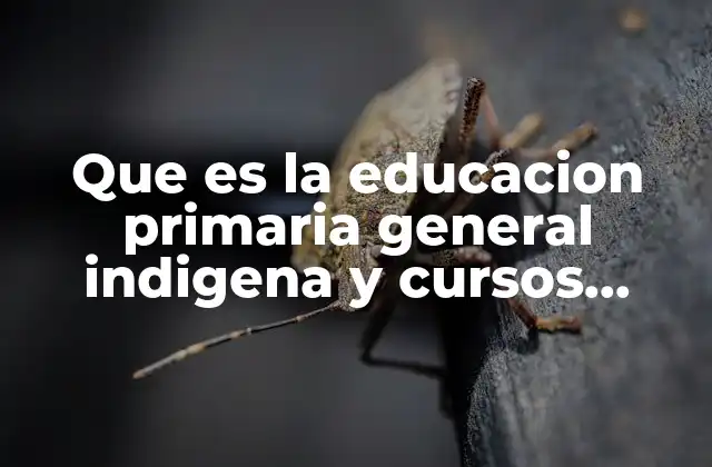 La importancia de la educación indígena en el desarrollo comunitario