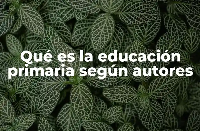 La importancia de la educación primaria en la formación humana